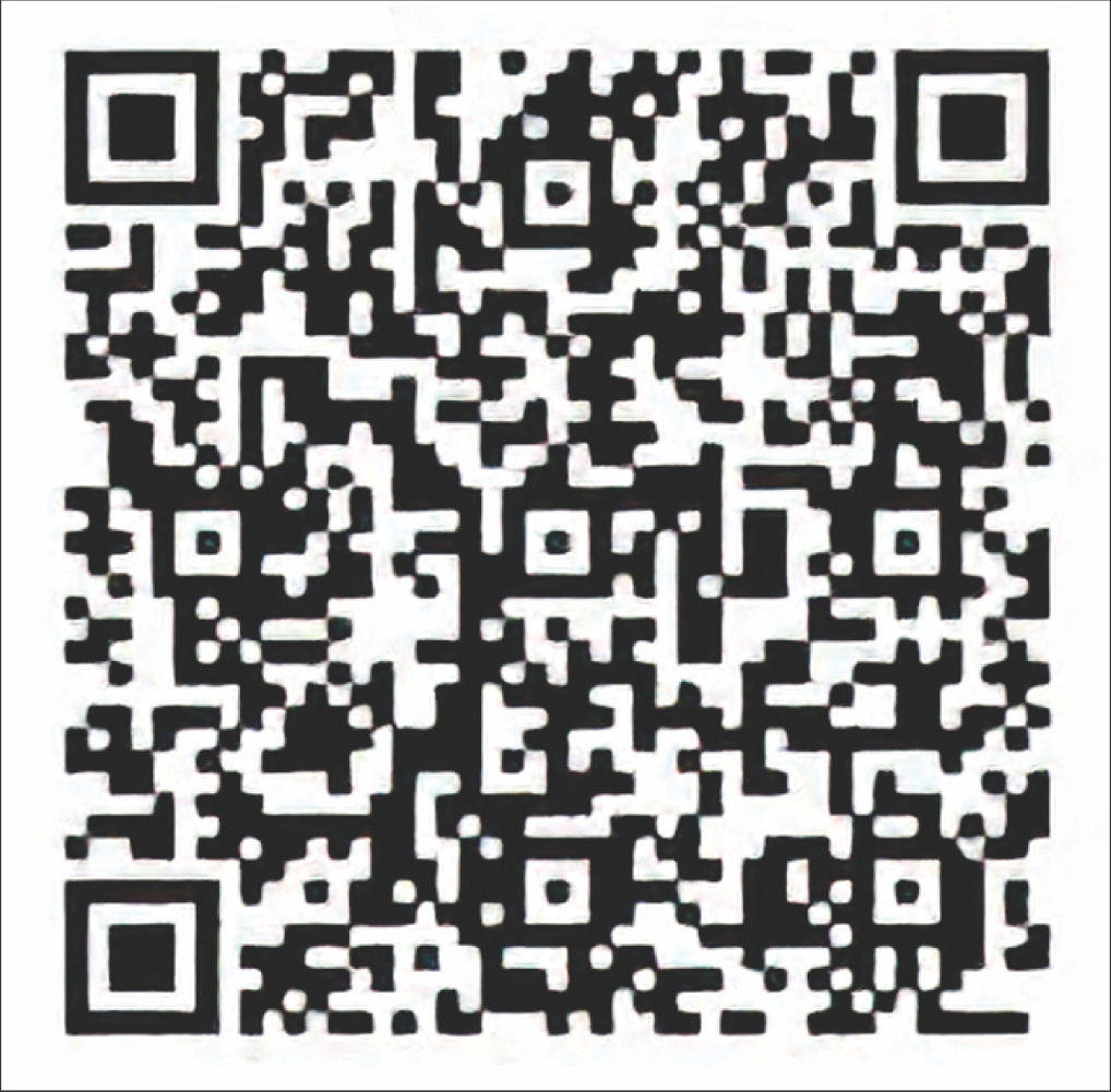 QR Code Pix
